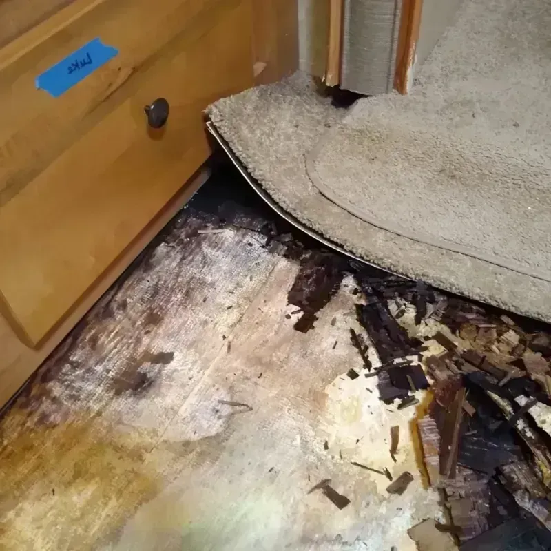 Wood Floor Water Damage in Grayling, MI